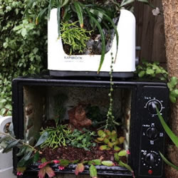 旧烤箱废物利用 改造成园艺盆景的小制作方法
