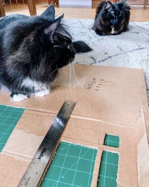 她为两只猫手工制作一座中世纪风格的纸板屋