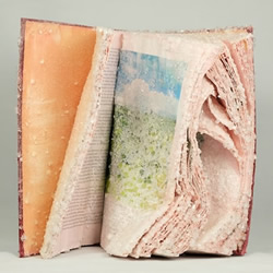 艺术家将书籍DIY转变为晶莹剔透的雕塑作品