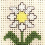 木菊的十字绣绣法