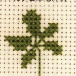 日本七叶树的十字绣绣法