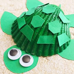 用贝壳做小乌龟的方法 幼儿手工制作小乌龟