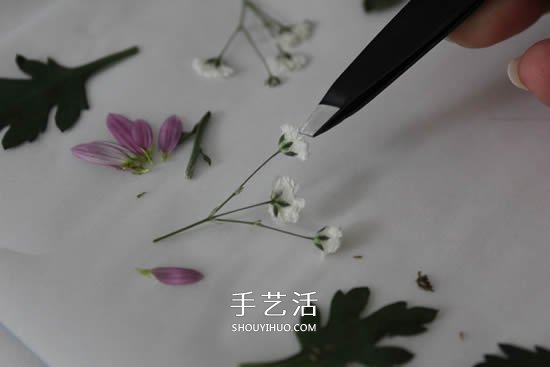 自制母亲节压花卡片 用干花做贺卡的方法图解