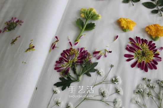 自制母亲节压花卡片 用干花做贺卡的方法图解