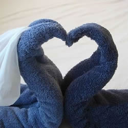 毛巾天鹅的折法图解 客房浴巾毛巾折天鹅