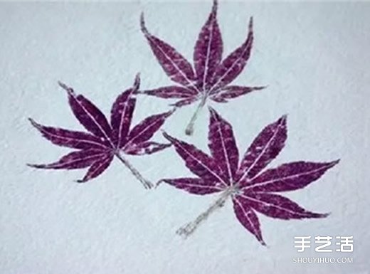 树叶拓印画怎么做 自制树叶拓印画步骤图片