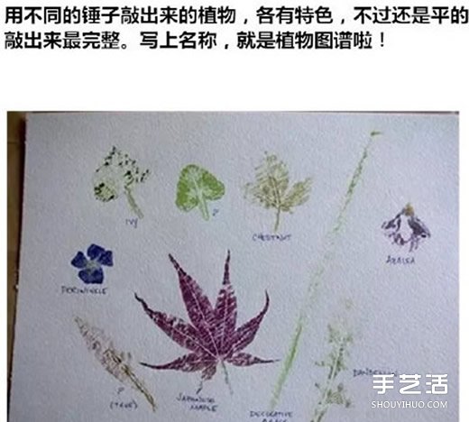 树叶拓印画怎么做 自制树叶拓印画步骤图片