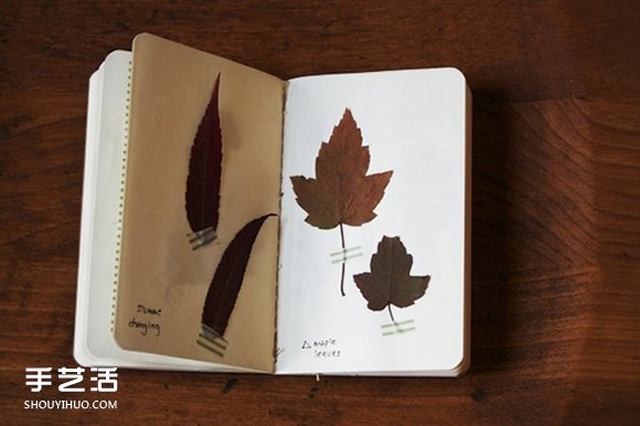 充满森林气息的手工植物标本DIY图片欣赏