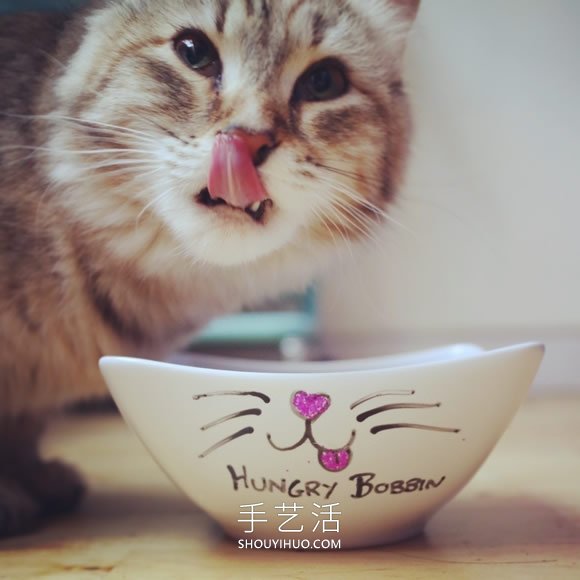 用陶瓷笔画一只食物碗 随时掌握猫咪小心情！