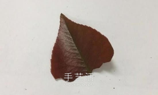 树叶粘贴画人物穿裙子怎么做的过程图解