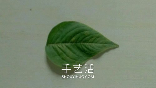 树叶花瓣粘贴画金鱼图片简单又漂亮