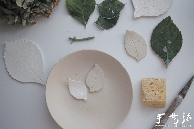 植物与陶艺结合DIY漂亮美陶