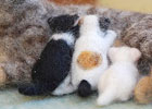 羊毛毡手工制作小动物