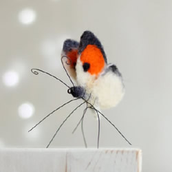 美丽的羊毛毡蝴蝶图片欣赏 逼真自然宛如活物
