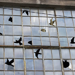 艺术家的幽默，让废弃建筑物的破窗不再可怕！