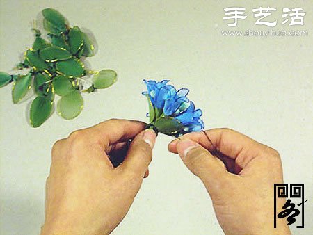 丝袜花矢车草的制作方法