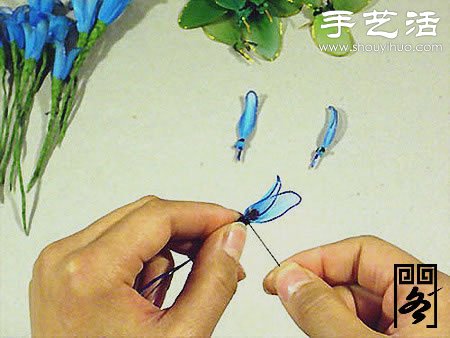 丝袜花矢车草的制作方法