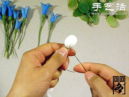 丝袜花矢车草的制作方法