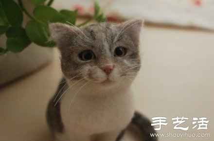 超萌的手工制作羊毛毡猫咪玩偶