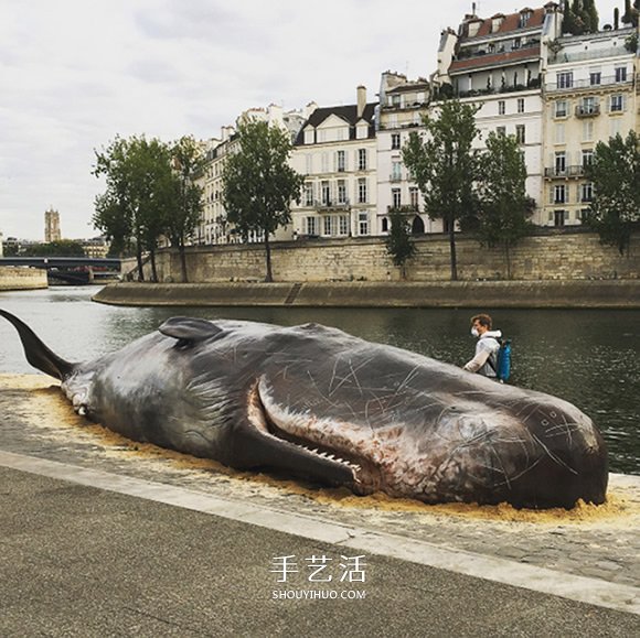 震撼的装置艺术！抹香鲸“搁浅”塞纳河畔