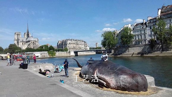 震撼的装置艺术！抹香鲸“搁浅”塞纳河畔