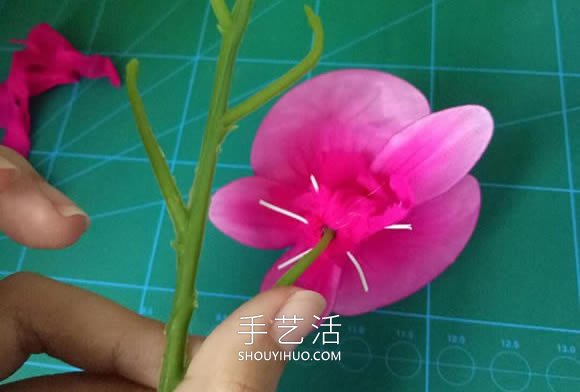 丝网花蝴蝶兰的制作方法步骤图解教程