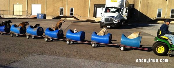 80岁老人打造遛狗列车 载着收养的流浪狗兜风