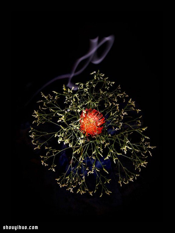 Flowerwork 德国艺术家设计的花朵烟花