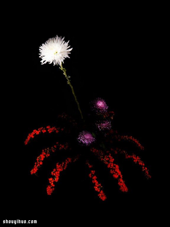 Flowerwork 德国艺术家设计的花朵烟花
