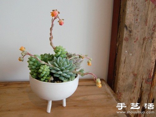 装饰现代风格家居的10款创意花盆盆栽