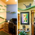 宠猫到极致的爱猫人士的家居设计