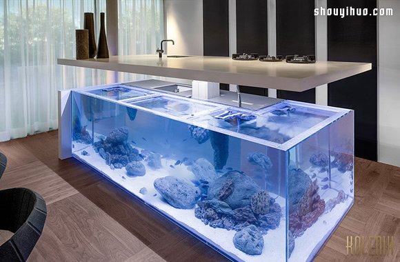令人惊叹的水族箱厨房 享受梦幻海底美景！