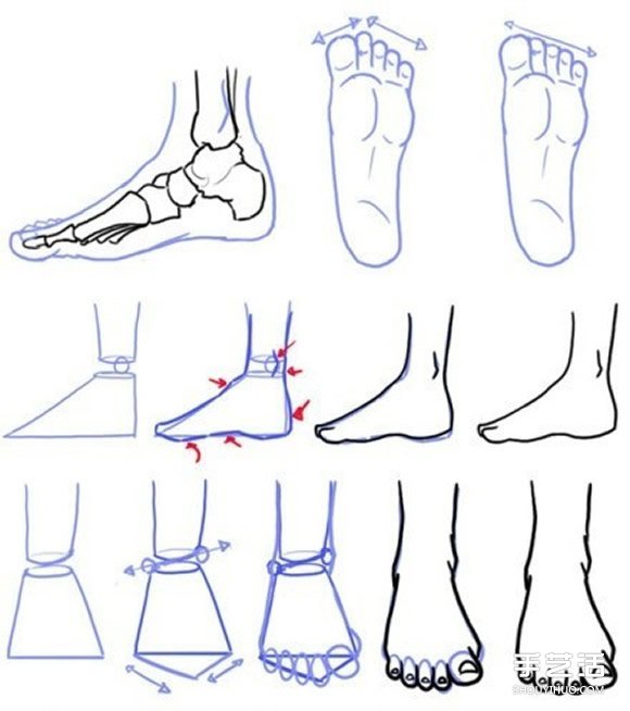 不同形态脚的画法图解 足部素描画法步骤图