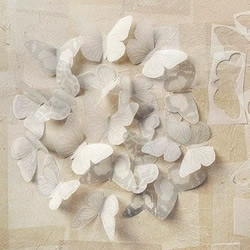 硫酸纸DIY如真似幻的纸蝴蝶