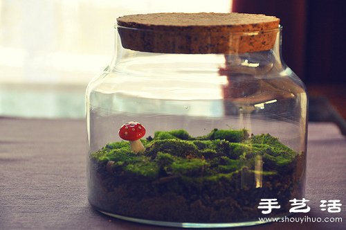 玻璃罐和苔藓植物DIY的可爱装饰摆件