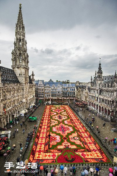超壮观比利时鲜花地毯！共一百万支秋海棠