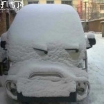 雪后小车的搞怪表情