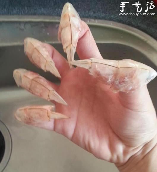利用吃完的虾壳DIY恐怖的兽爪