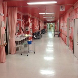 江户川另类医院 看病也可以很艺术！