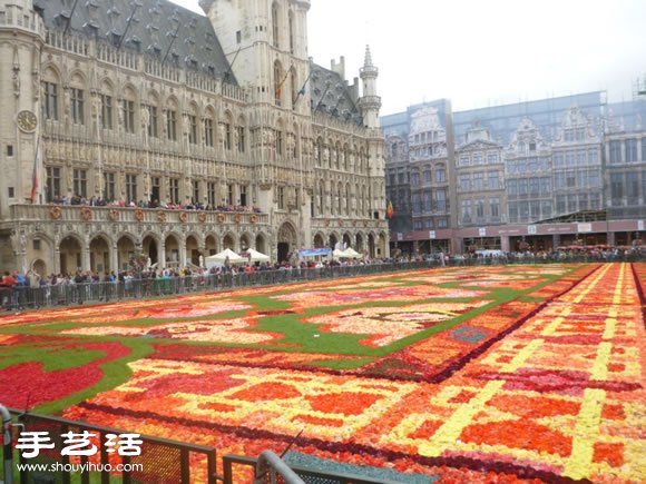 超壮观比利时鲜花地毯！共一百万支秋海棠