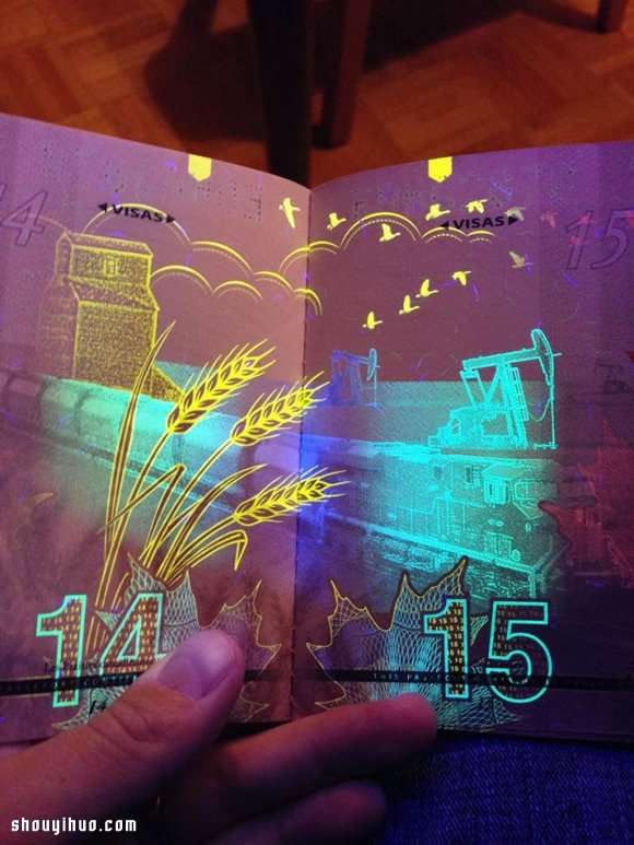 加拿大护照被紫外线灯照射后的超华丽画面