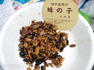昆虫PK海产 日本暗黑料理你敢吃哪样？