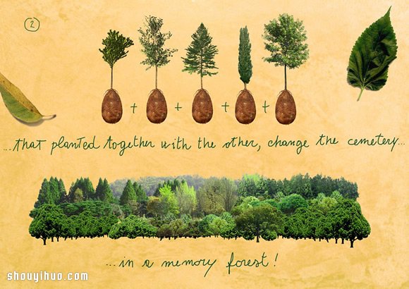 滋养一颗树木的环保安葬 你能接受么？