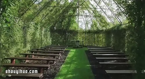 会呼吸的教堂，以树木建造而成的绿色秘境