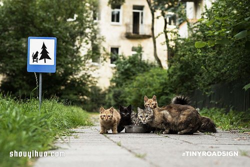 立陶宛为了动物居民打造的温暖迷你路标