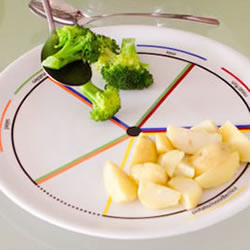 ETE食量餐盘:想轻松达到均衡饮食不是问题!