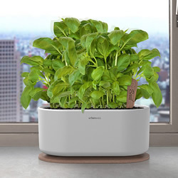 Urban Oasis工具组 让你在家就能当农夫