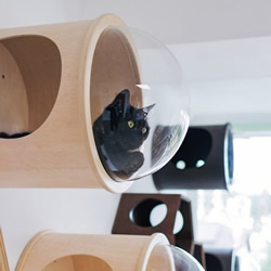 模块化猫家具，在不牺牲设计的同时让猫快乐！