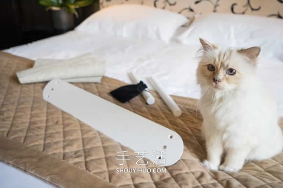 极简吊床式猫床 Swing，完全可以自己DIY！