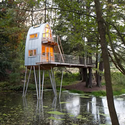 旧茅屋改造成的站立湖中的奇怪树屋